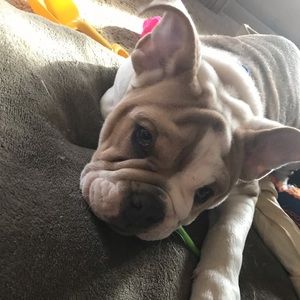 Meet your Posher, Kayla